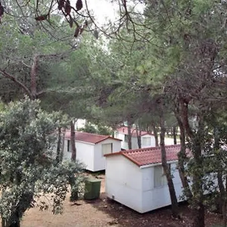 Camp Porat 3*