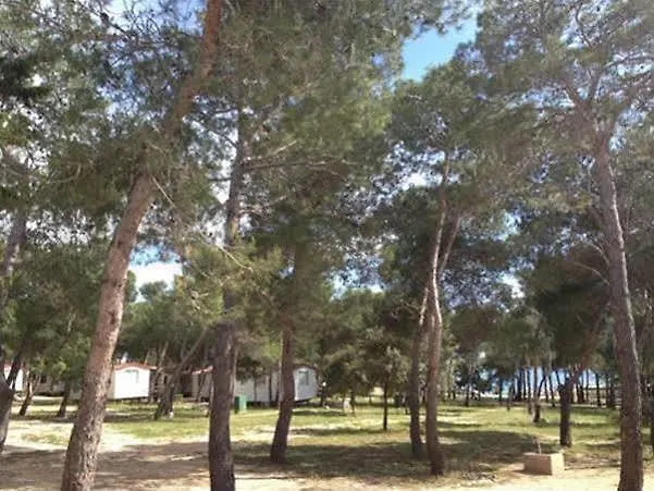 Camp Porat База отдыха