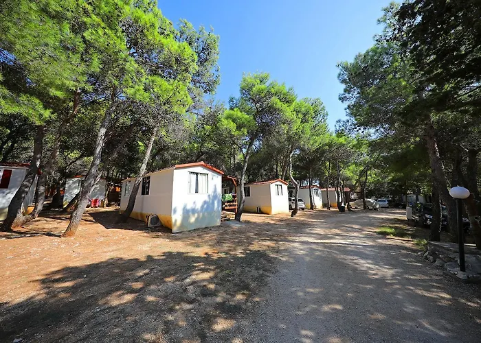 Camp Porat Повляна