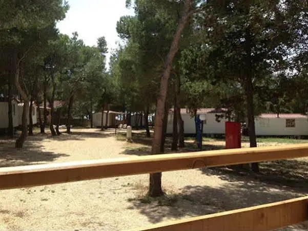 Camp Porat
