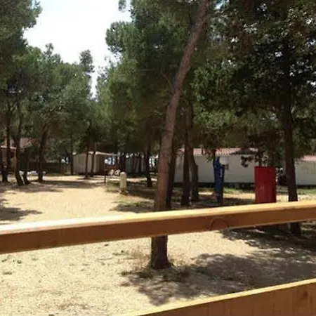 Camp Porat