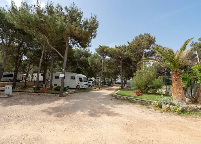 Camp Porat 3* 포블랴나