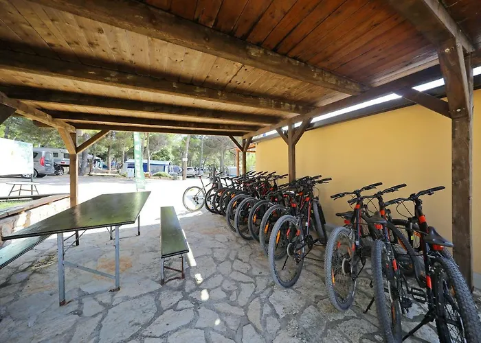 Camp Porat 3* 포블랴나